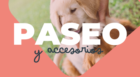 accesorios de paseo para cachorros